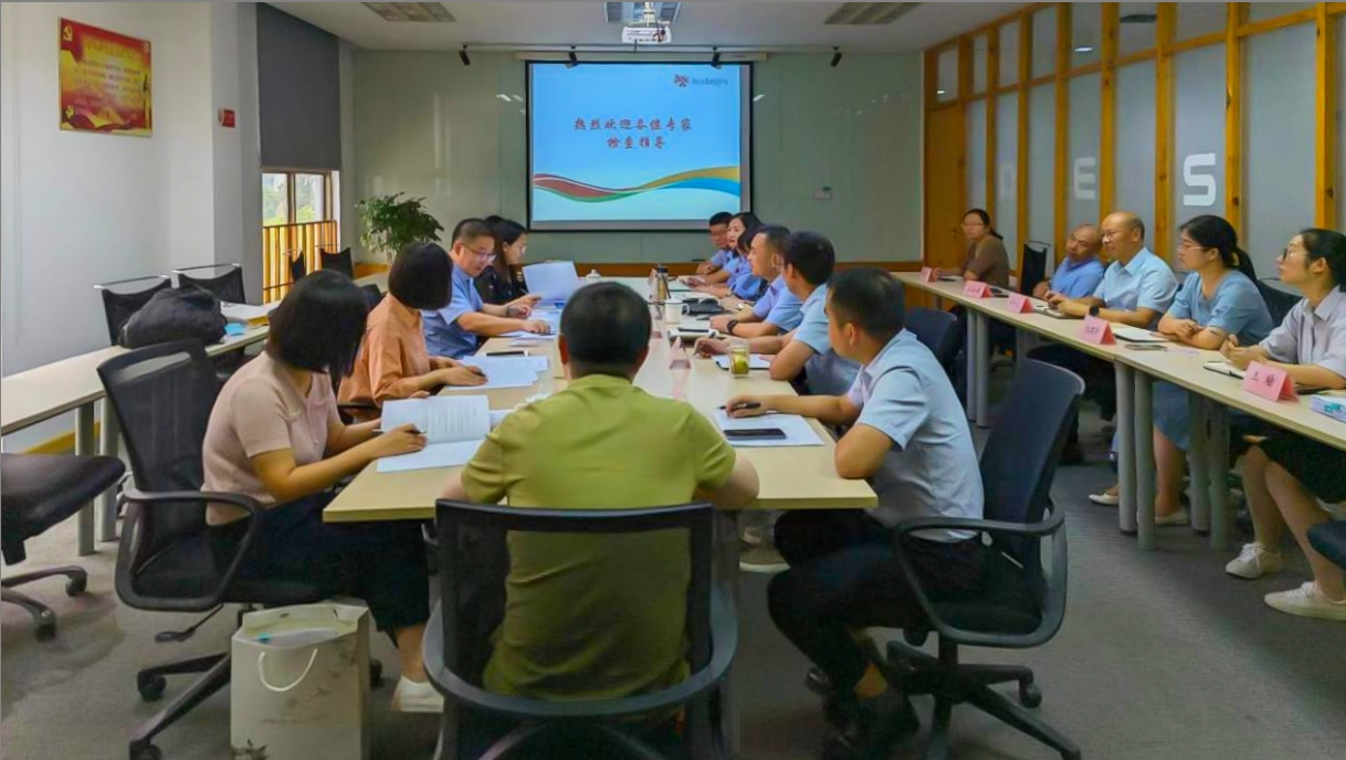 爱游戏网页版爱游戏aiyouxi（中国）_爱游戏aiyouxi（中国）顺利通过舒更注册现场核查与小针GMP符合性二合一检查